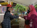Tn DSC 7806